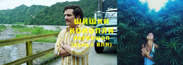 винт Нея