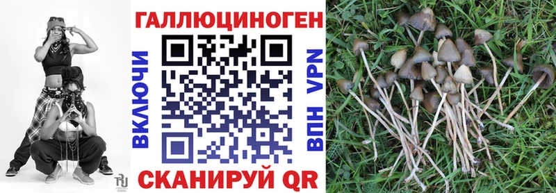 Галлюциногенные грибы Psilocybine cubensis  Менделеевск 
