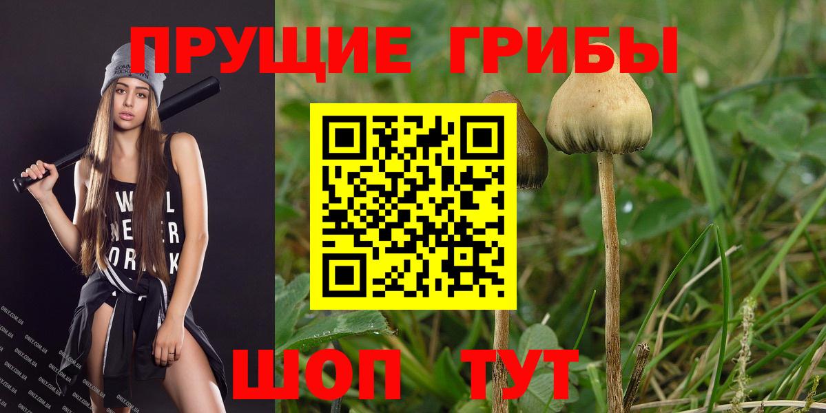 Менделеевск  Галлюциногенные грибы MAGIC MUSHROOMS  Вход с VPN 