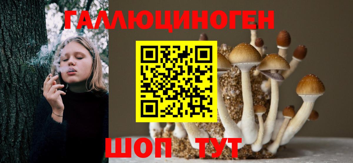 Галлюциногенные грибы Magic Shrooms Менделеевск