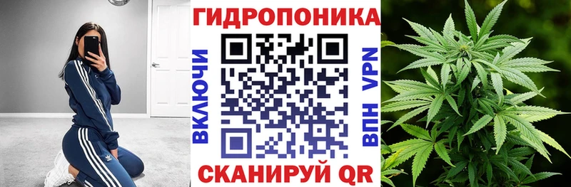 МАРИХУАНА сатива  Менделеевск 
