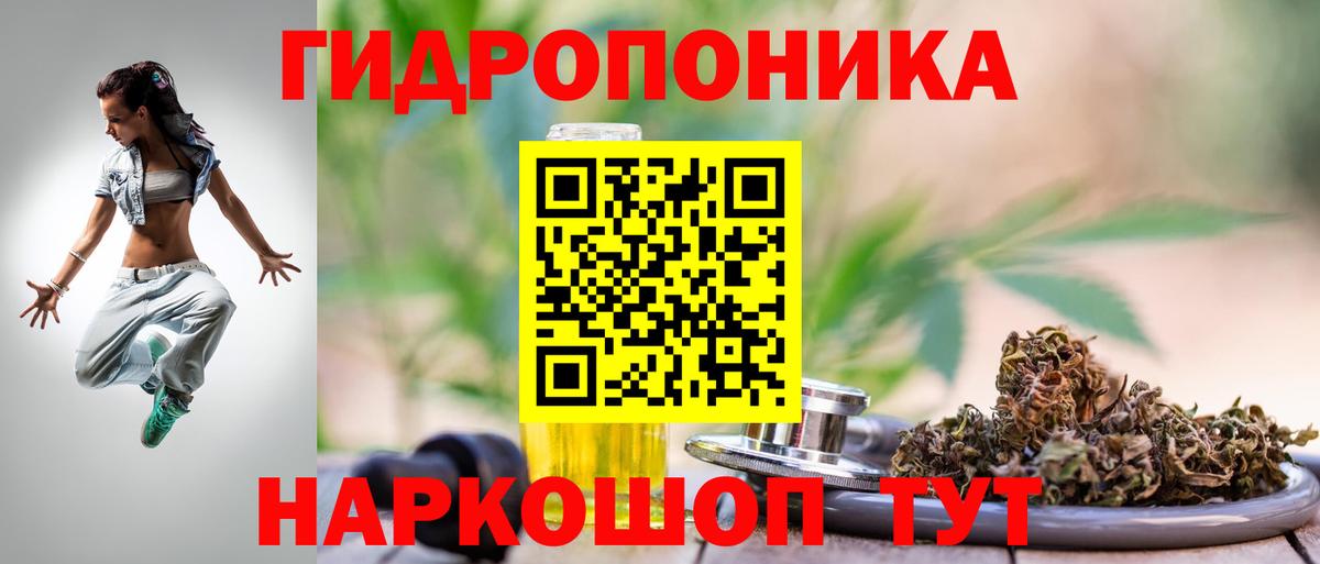 Канабис OG Kush Менделеевск